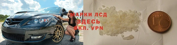 ALPHA PVP Гусев