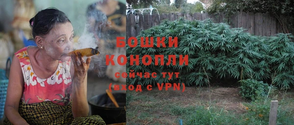 крисы Гусиноозёрск