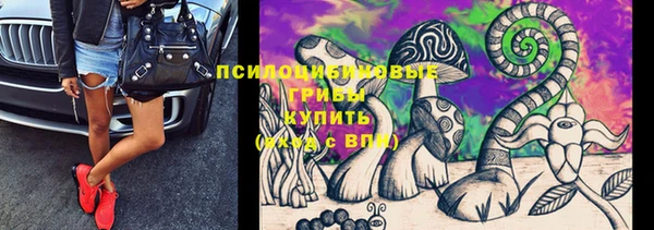 ALPHA PVP Гусев
