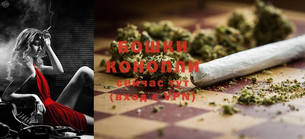 крисы Гусиноозёрск