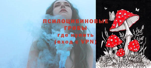 наркотики Гусь-Хрустальный