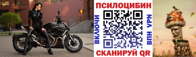 Купить где  Арсеньев  Галлюциногенные грибы мицелий 